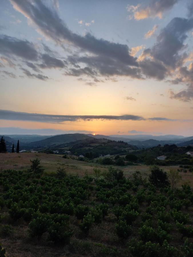 Gite Vigneron Du Domaine D'Alon Magrie Exteriér fotografie