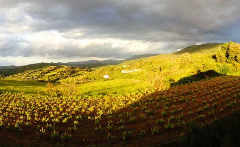 Gite Vigneron Du Domaine D'Alon Magrie Exteriér fotografie