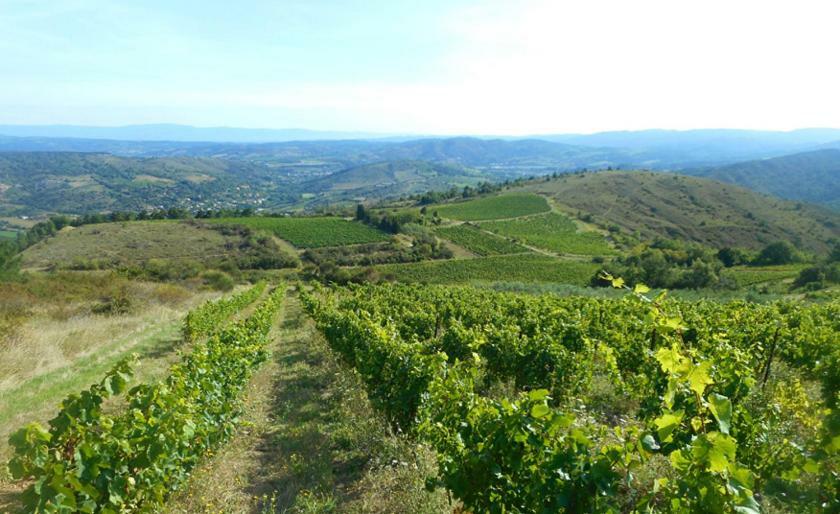 Gite Vigneron Du Domaine D'Alon Magrie Exteriér fotografie