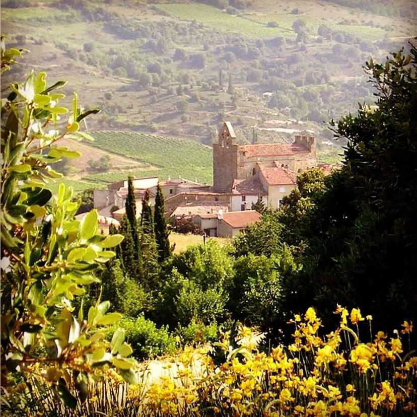 Gite Vigneron Du Domaine D'Alon Magrie Exteriér fotografie