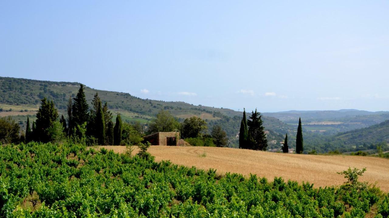 Gite Vigneron Du Domaine D'Alon Magrie Exteriér fotografie