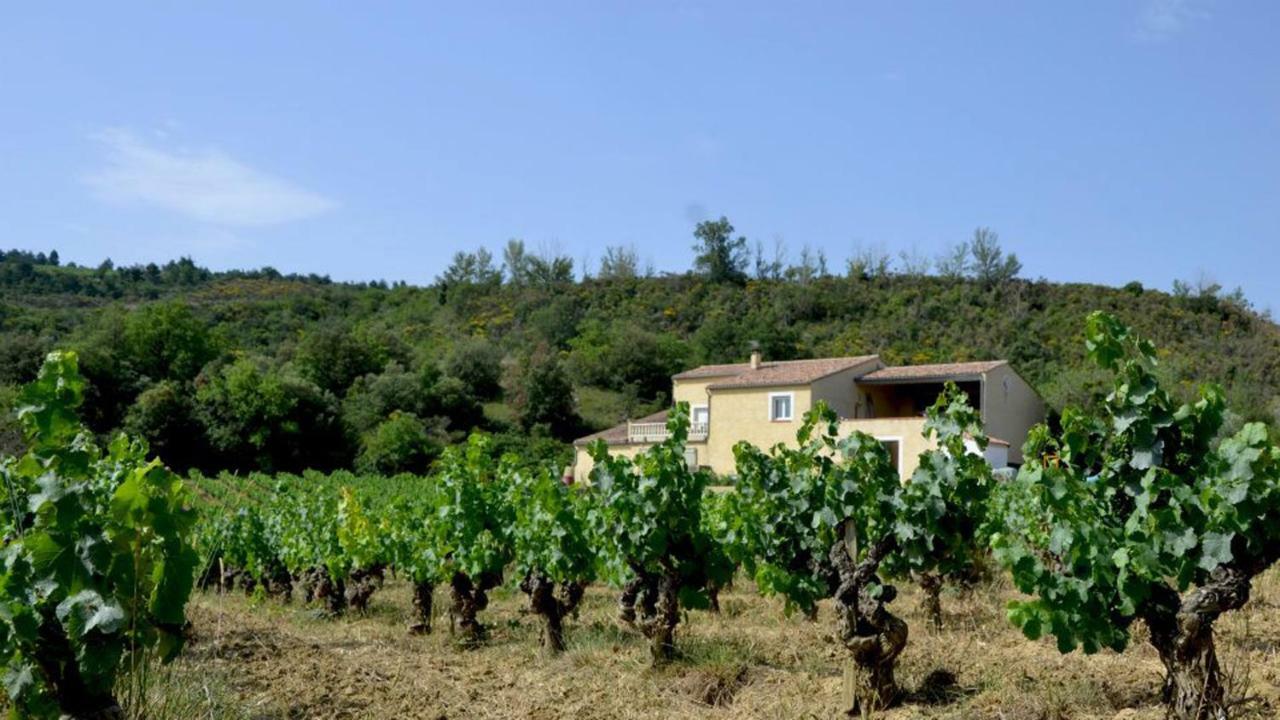 Gite Vigneron Du Domaine D'Alon Magrie Exteriér fotografie